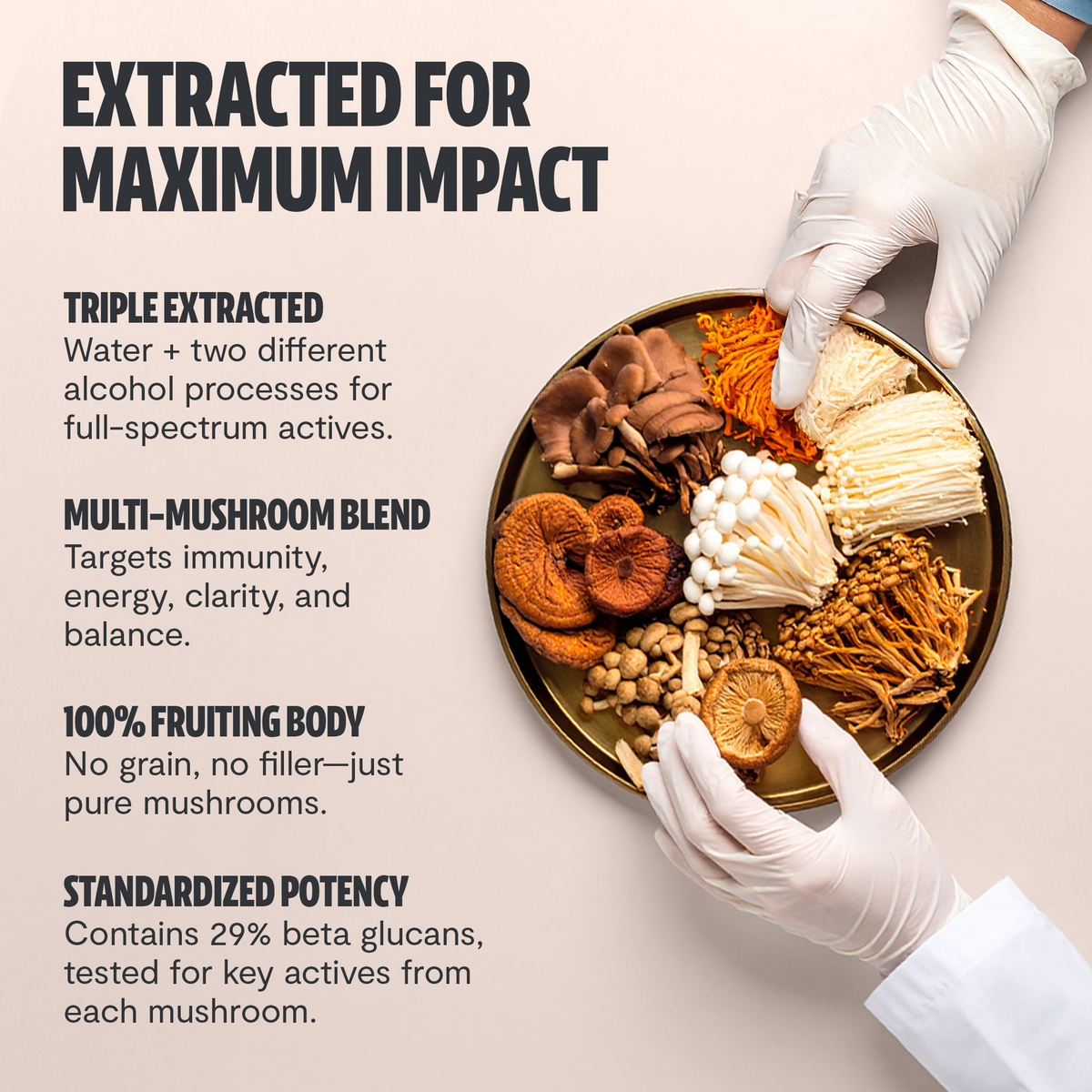 Mushroom blend on a plate with gloved hands, text about mushroom properties.