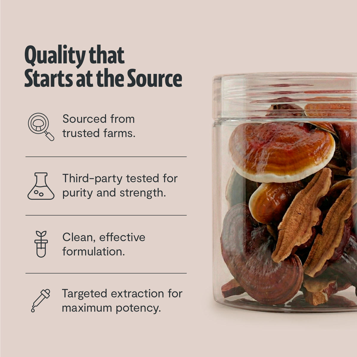 Glass jar with dried mushrooms on a beige background with text about quality assurance.