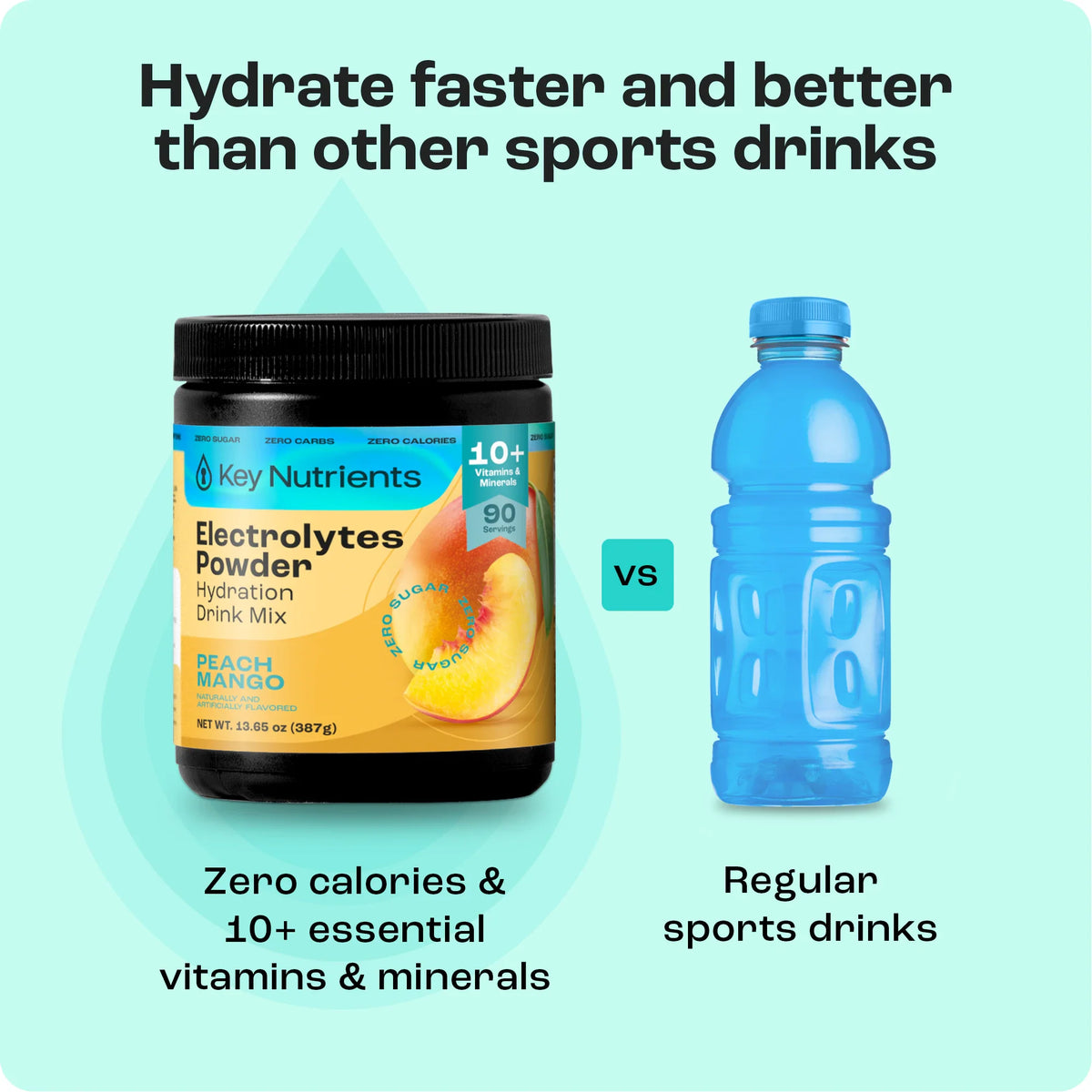 Sugar-Free Electrolyte Recovery Powder | Key Nutrients