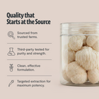 Organic Lion’s Mane Mushroom Powder | FreshCap