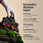 Chaga Mushroom Extract Capsules | Antioxidant Support | FreshCap