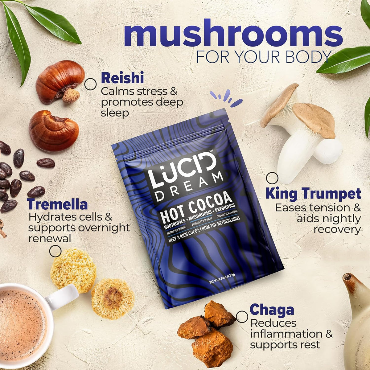 Lucid Dream hot cocoa package with mushroom ingredients and their benefits on a light background